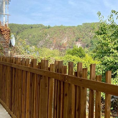 Magnifique Appartement 2/4 Pers - Le Saint Leo 외부 사진